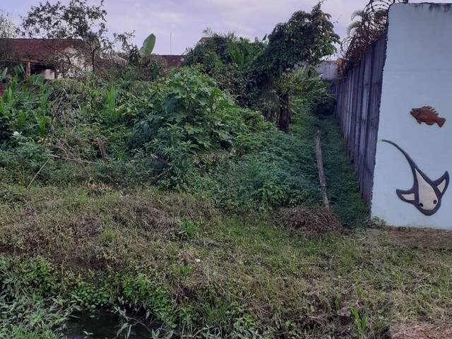 #587 - Área para Venda em Bertioga - SP