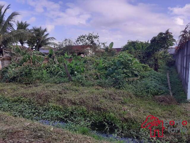 Área para Venda em Bertioga - 5