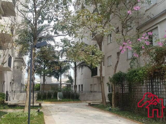 Apartamento para Locação em São Paulo - 5