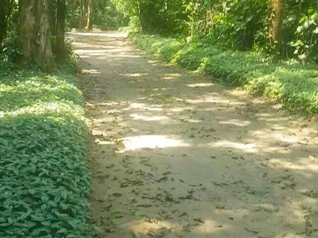 #624 - Área para Venda em São Sebastião - SP