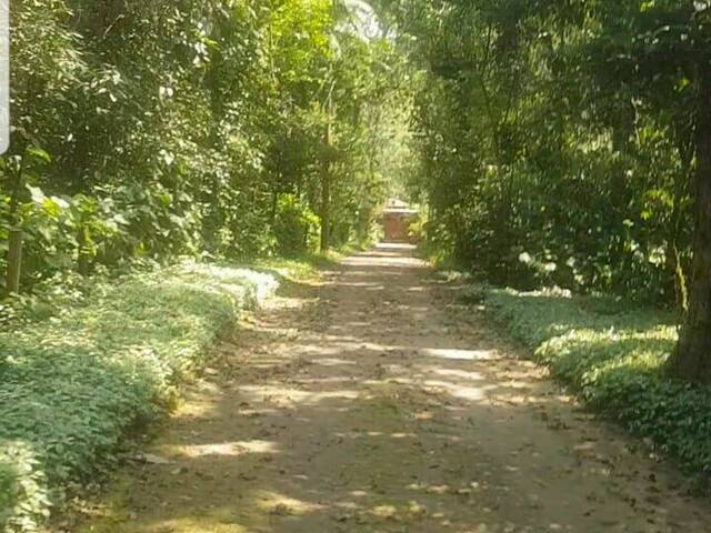 #624 - Área para Venda em São Sebastião - SP