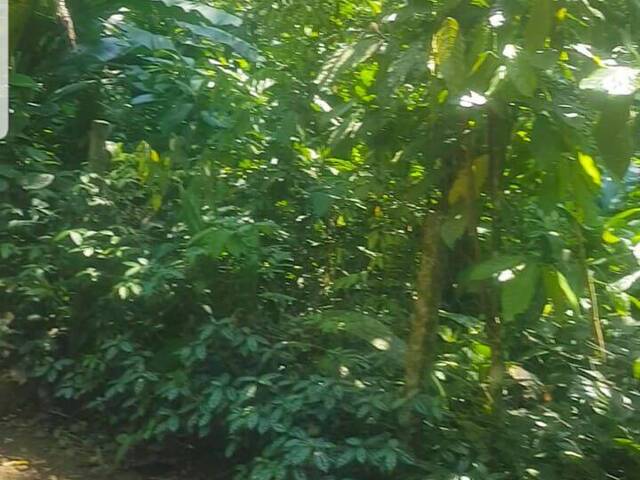Área para Venda em São Sebastião - 5