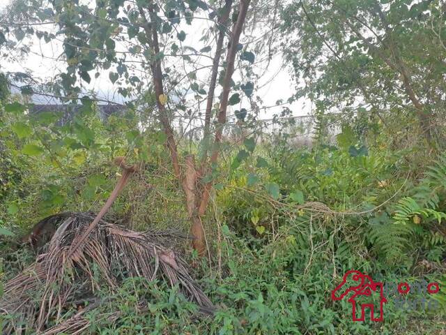 Área para Venda em Bertioga - 2