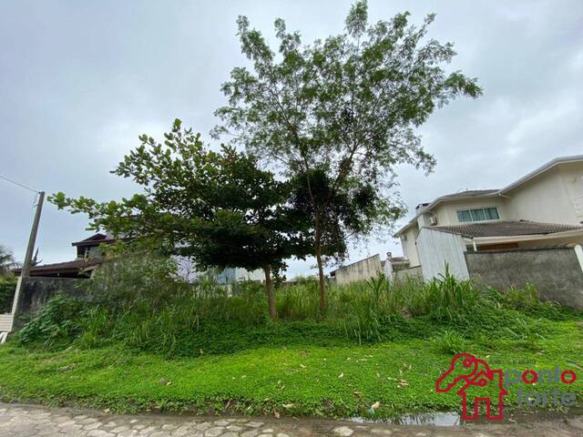Área para Venda em Bertioga - 4