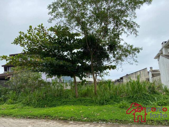 Área para Venda em Bertioga - 5