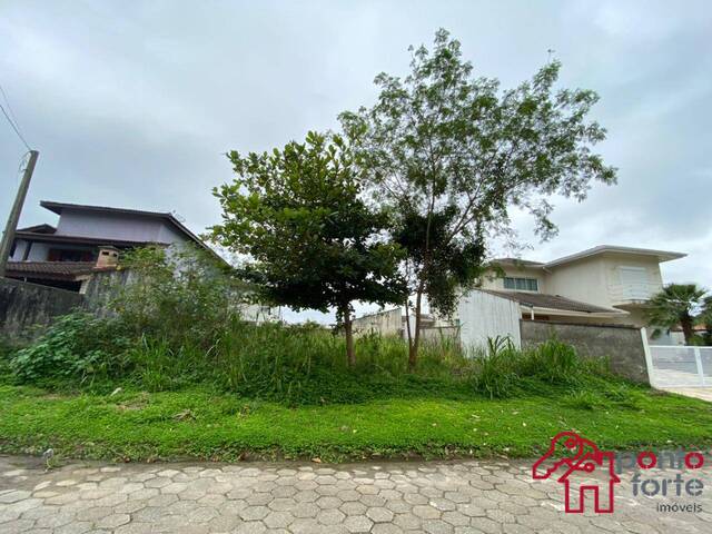 #657 - Área para Venda em Bertioga - SP - 1