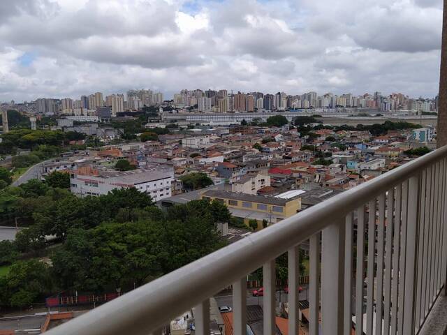 Venda em Sítio da Figueira - São Paulo