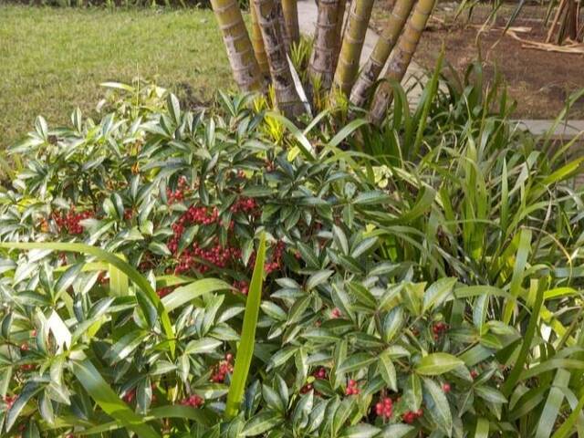 #970 - Apartamento para Venda em São Paulo - SP