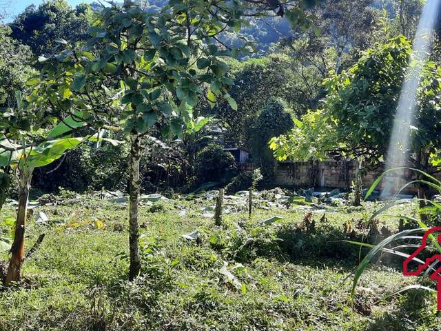 Terreno para Venda em São Sebastião - 1