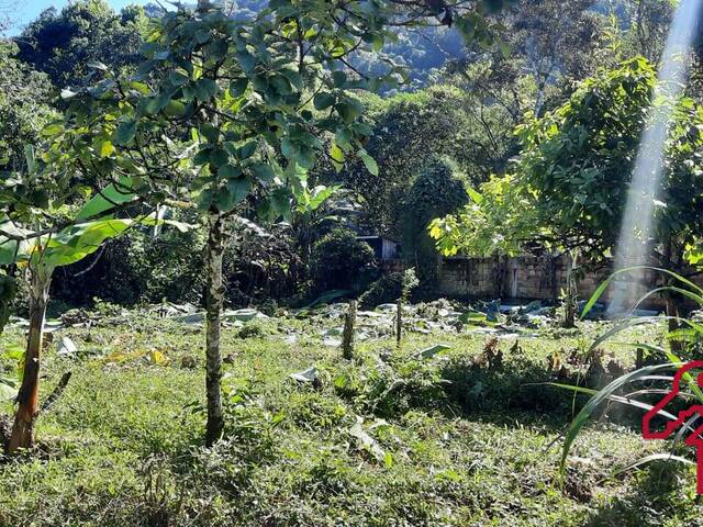 Venda em Camburi - São Sebastião