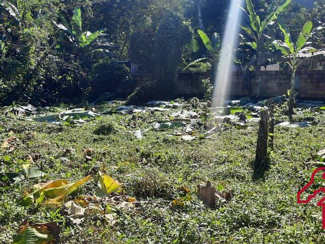 #1233 - Terreno para Venda em São Sebastião - SP - 2