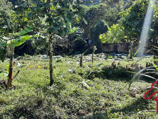 Terreno para Venda em São Sebastião - 5