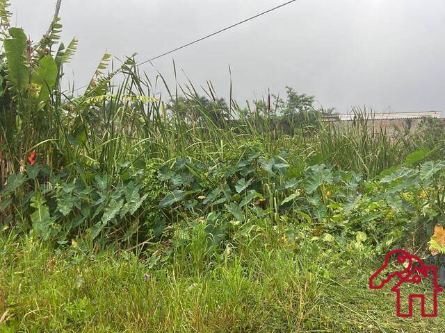 #1337 - Área para Venda em Bertioga - SP - 1