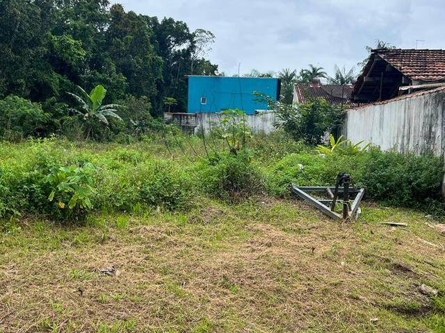 Área para Venda em Bertioga - 5