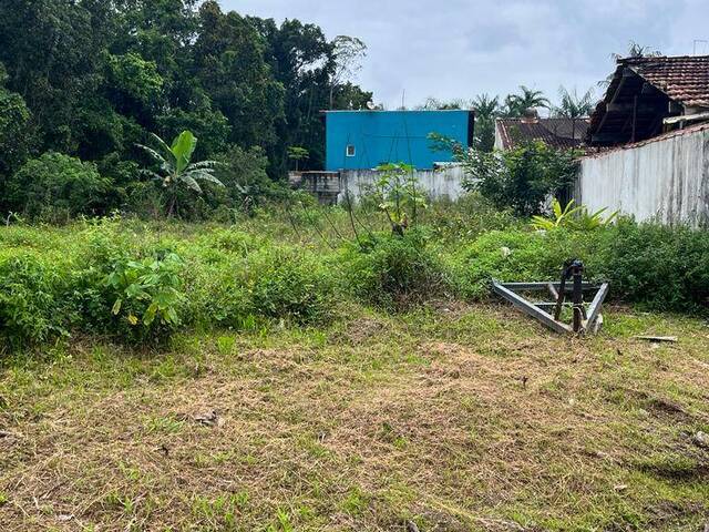 Área para Venda em Bertioga - 4