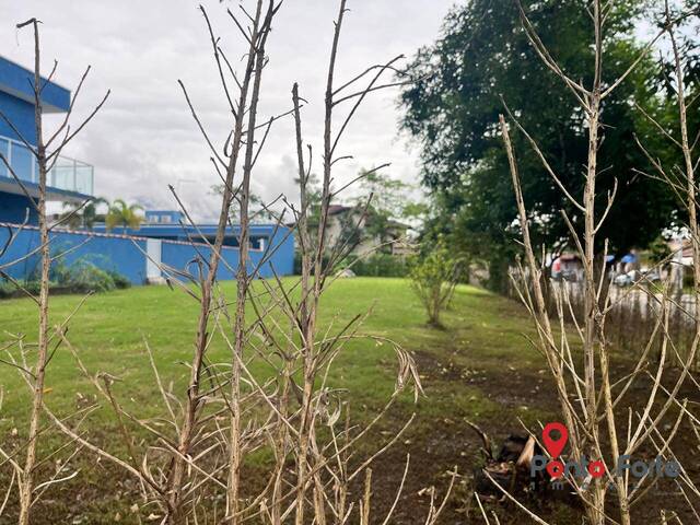Área para Venda em Bertioga - 5