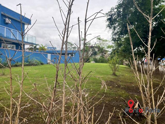 Área para Venda em Bertioga - 4