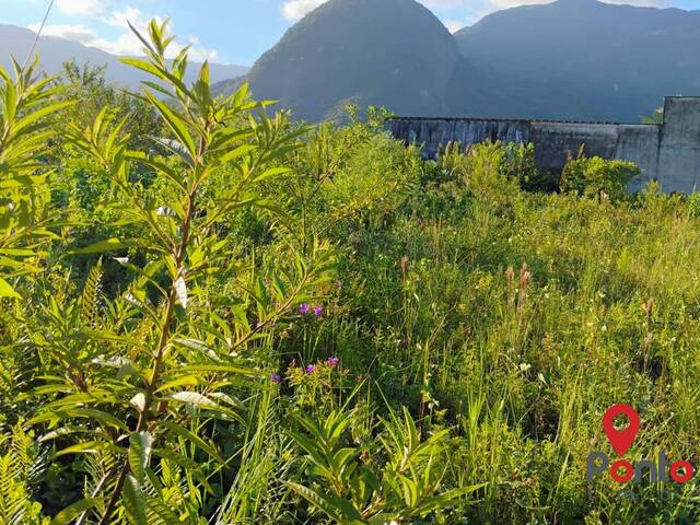 Área para Venda em Bertioga - 5